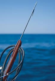 Spear for fishing sale